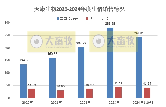 天康生物2024年10月生猪销售及前三季度公司业绩情况