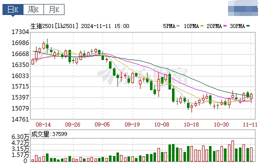 今日猪价 | 2024.11.12 猪价行情——多数止涨回落