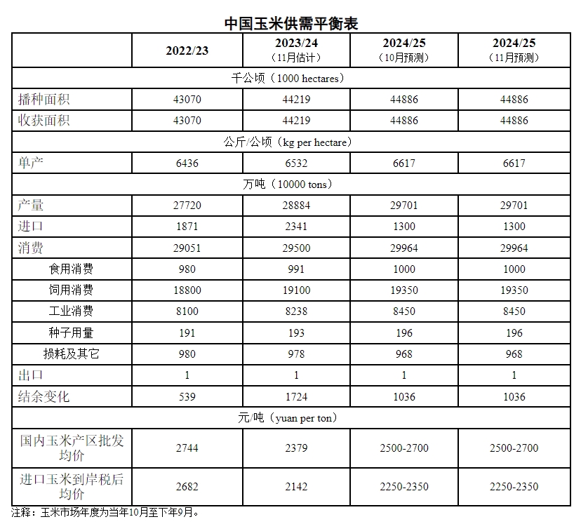 2024年11月中国玉米供需形势分析