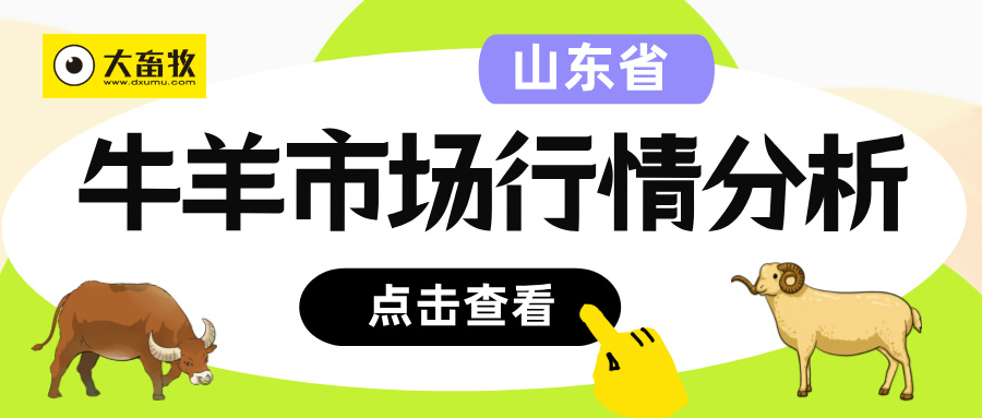 山东省2025年第47周牛羊市场行情分析——牛肉价格弱势回落，羊肉价格继续小幅回升