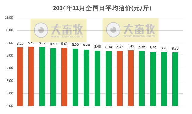 今日猪价 | 2024.11.15 猪价行情——继续震荡下跌