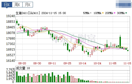 今日猪价 | 2024.11.16 猪价行情——一路飘绿，连续5天下跌