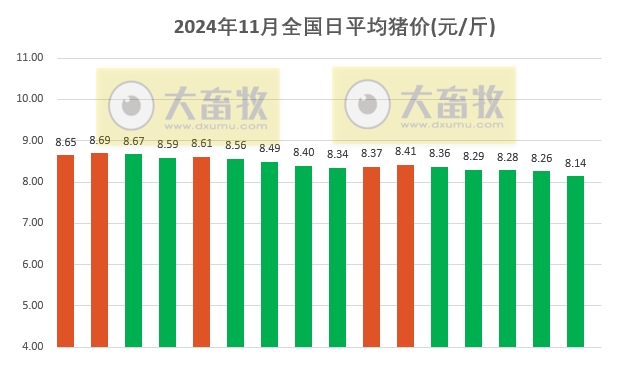 今日猪价 | 2024.11.16 猪价行情——一路飘绿，连续5天下跌