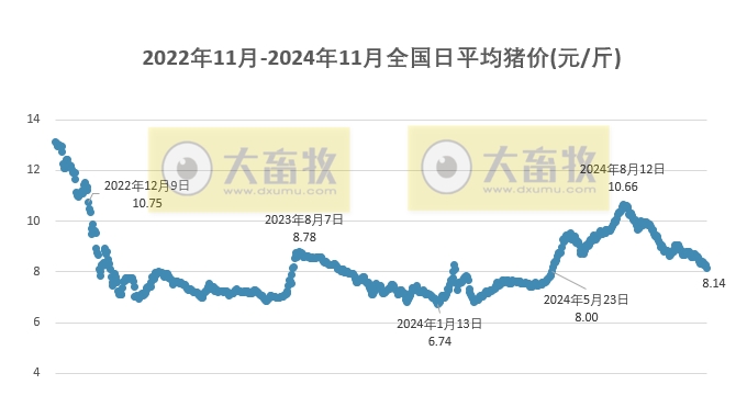 今日猪价 | 2024.11.16 猪价行情——一路飘绿，连续5天下跌