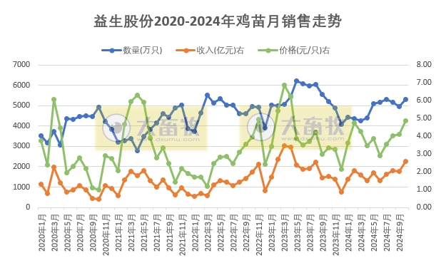 益生、民和和晓鸣2024年10月鸡苗销售情况