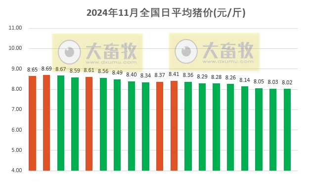 今日猪价 | 2024.11.19 猪价行情——继续稳中带跌,21省跌破8元