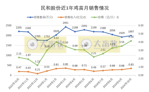 益生、民和和晓鸣2024年10月鸡苗销售情况