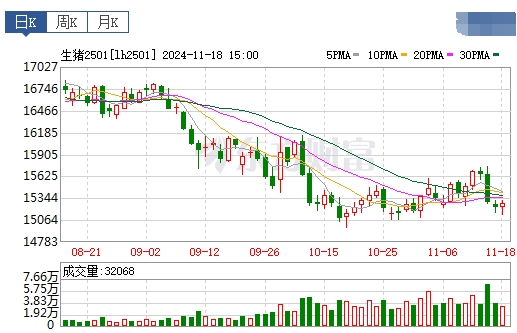 今日猪价 | 2024.11.19 猪价行情——继续稳中带跌,21省跌破8元