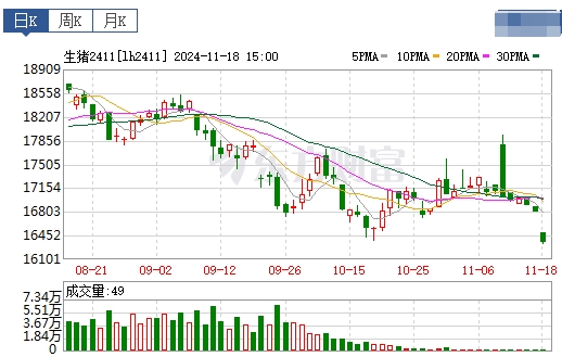 今日猪价 | 2024.11.19 猪价行情——继续稳中带跌,21省跌破8元