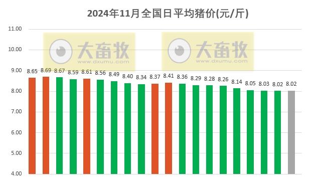 今日猪价 | 2024.11.20 猪价行情——大多数以稳为主
