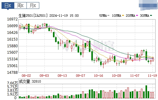 今日猪价 | 2024.11.20 猪价行情——大多数以稳为主