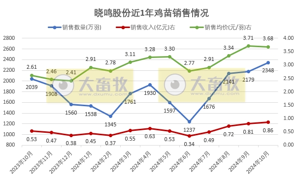 益生、民和和晓鸣2024年10月鸡苗销售情况