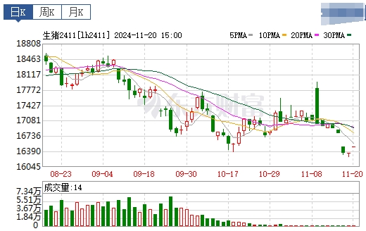 今日猪价 | 2024.11.21 猪价行情——止跌反弹，一路飘红