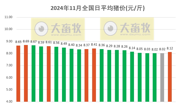 今日猪价 | 2024.11.21 猪价行情——止跌反弹，一路飘红