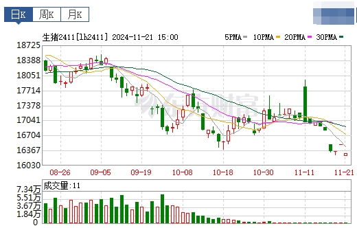 今日猪价 | 2024.11.22 猪价行情——继续大幅上涨