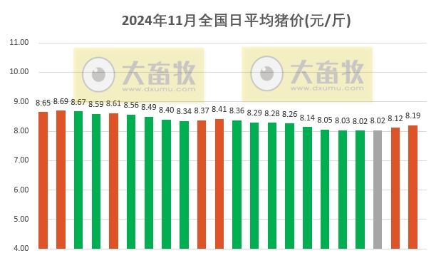 今日猪价 | 2024.11.22 猪价行情——继续大幅上涨