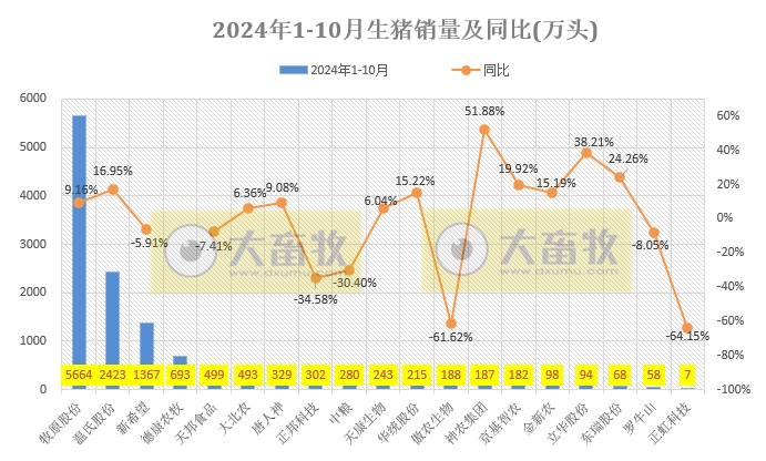 19家上市猪企2024年10月生猪销售业绩和生产指标PK