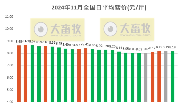 今日猪价 | 2024.11.24 猪价行情——稳中带跌
