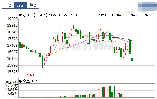 今日猪价 | 2024.11.24 猪价行情——稳中带跌