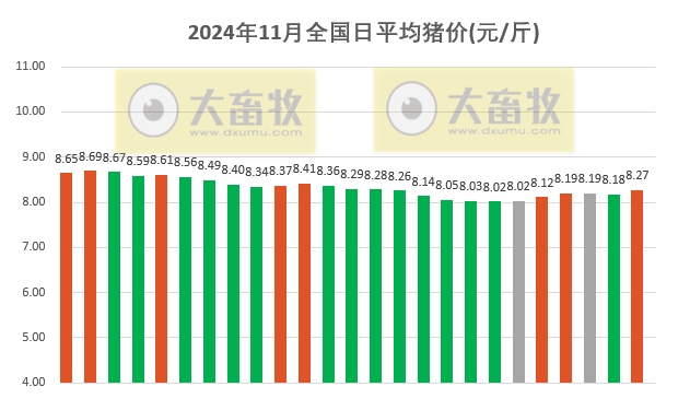 今日猪价 | 2024.11.25 猪价行情——一路飘红，大幅度上涨，广东率先突破9元