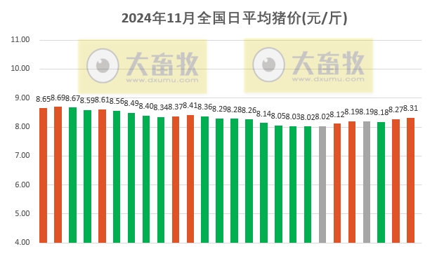 今日猪价 | 2024.11.26 猪价行情——大多数继续上涨