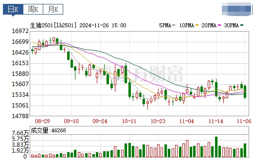 今日猪价 | 2024.11.27 猪价行情——止涨转跌
