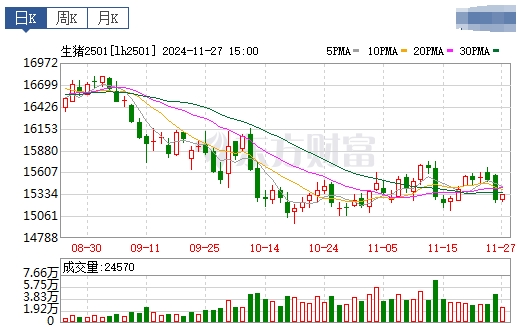今日猪价 | 2024.11.28 猪价行情——大多数继续下跌