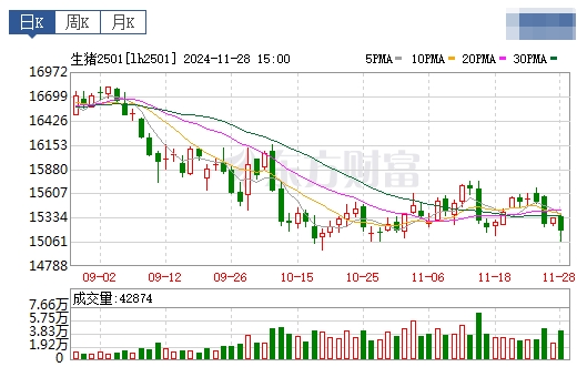 今日猪价 | 2024.11.29 猪价行情——止跌上涨