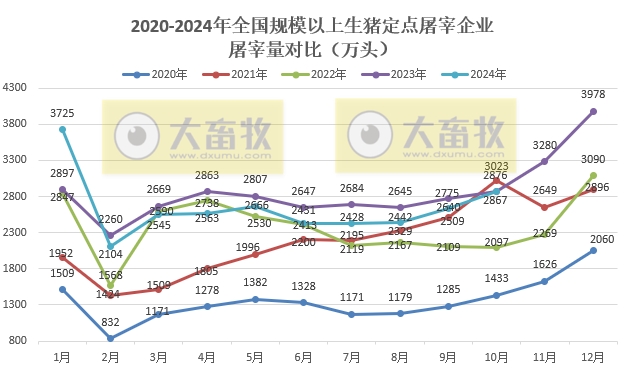 2024年10月全国规模以上生猪定点屠宰企业的屠宰量和价格情况
