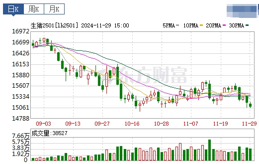 今日猪价 | 2024.11.30 猪价行情——多数继续上涨