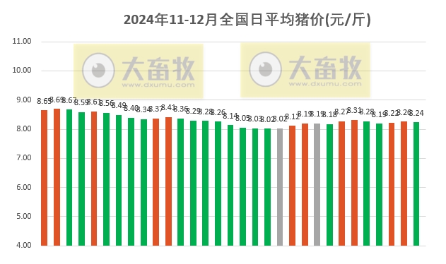 今日猪价 | 2024.12.01 猪价行情——震荡下跌