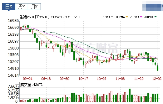 今日猪价 | 2024.12.03 猪价行情——连续3天下跌
