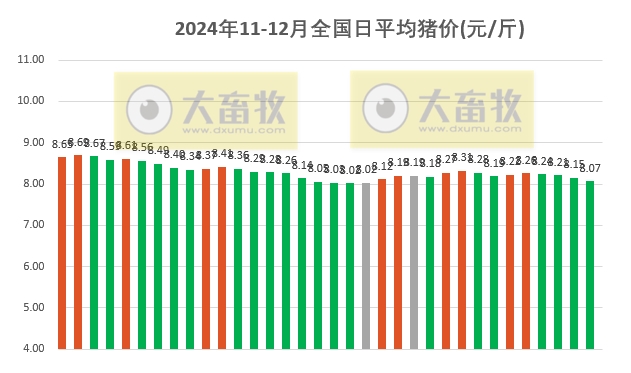 今日猪价 | 2024.12.04 猪价行情——大多数出现下跌