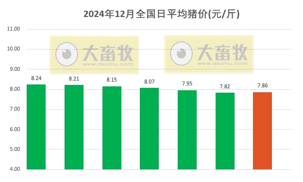 今日猪价 | 2024.12.07 猪价行情——多数止跌上涨