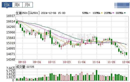 今日猪价 | 2024.12.07 猪价行情——多数止跌上涨
