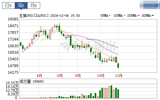 今日猪价 | 2024.12.08 猪价行情——多数继续上涨