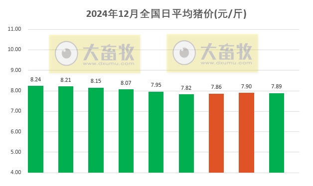 今日猪价 | 2024.12.09 猪价行情——部分出现下跌