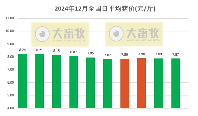 今日猪价 | 2024.12.10 猪价行情——部分继续下跌