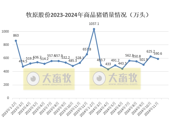 11月仔猪销量大幅增长，前11月生猪销量6300万头——牧原股份2024年11月生猪销售情况