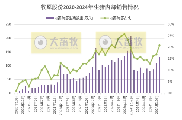 11月仔猪销量大幅增长，前11月生猪销量6300万头——牧原股份2024年11月生猪销售情况