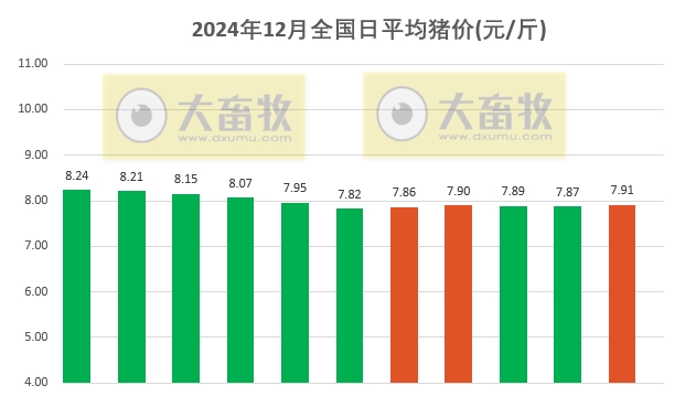 今日猪价 | 2024.12.11 猪价行情——大多数上涨，没有下跌省份