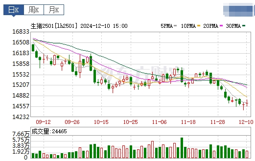 今日猪价 | 2024.12.11 猪价行情——大多数上涨，没有下跌省份
