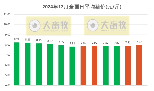 今日猪价 | 2024.12.12 猪价行情——大多数继续上涨