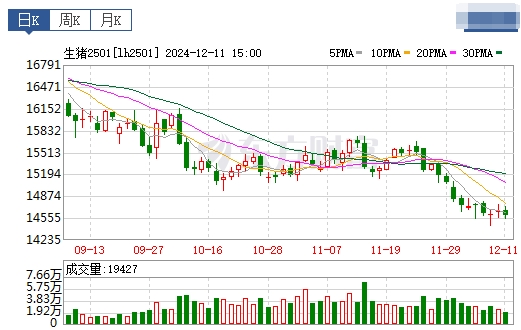 今日猪价 | 2024.12.12 猪价行情——大多数继续上涨
