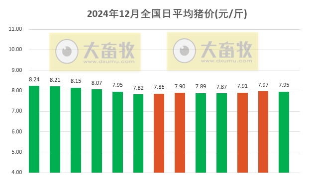 今日猪价 | 2024.12.13 猪价行情——稳中带跌