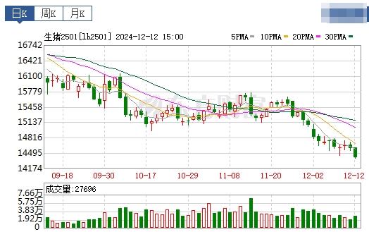 今日猪价 | 2024.12.13 猪价行情——稳中带跌