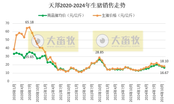 大北农和唐人神销售收入有突破、天邦成本降至7元——部分上市猪企2024年11月及前11月生猪销售情况