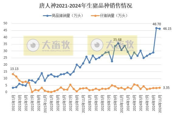 大北农和唐人神销售收入有突破、天邦成本降至7元——部分上市猪企2024年11月及前11月生猪销售情况