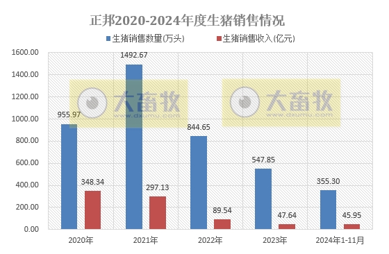 正邦和中粮生猪销售均有阶段性创新高——部分上市猪企2024年11月及前11月生猪销售情况