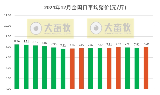 今日猪价 | 2024.12.15 猪价行情——猪价突涨